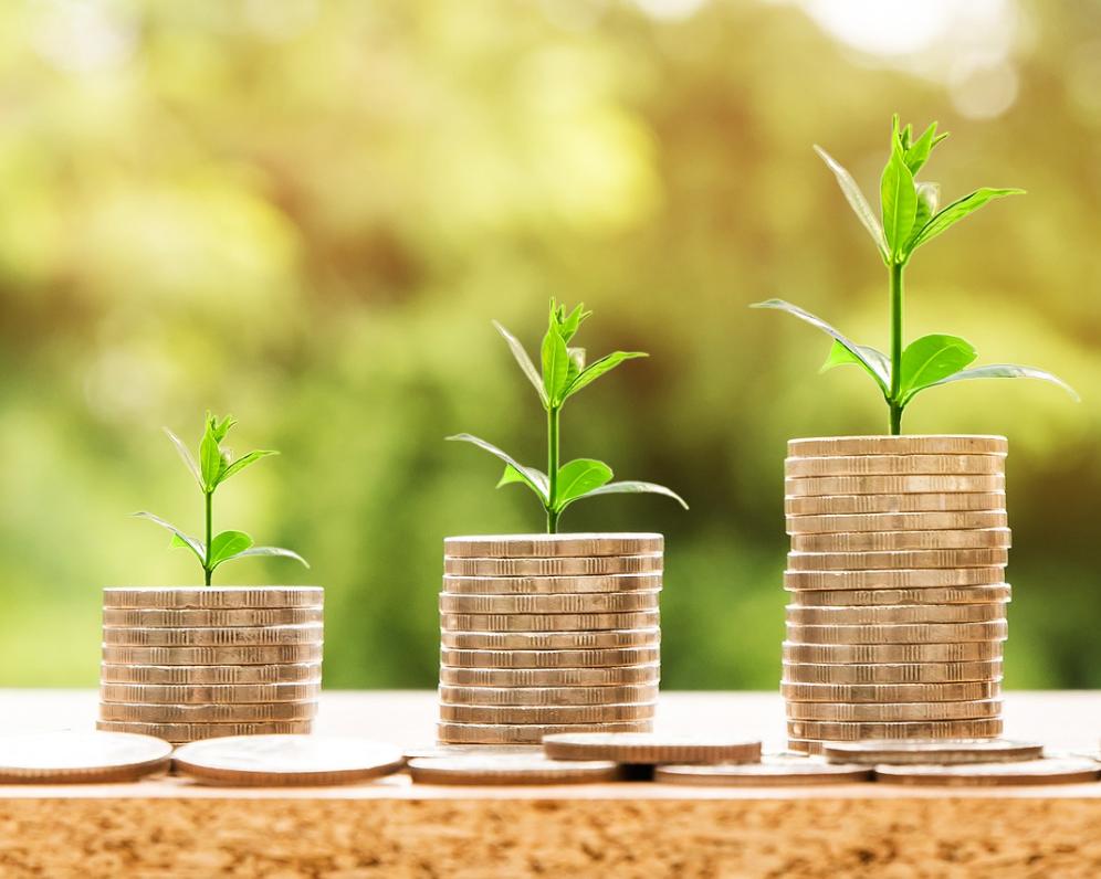 Jak si snížit daňový základ investováním? Pomocí DIPu!